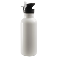 20 oz. Stainless Steel Water Bottle, White, Straw Top