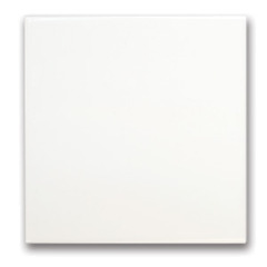 12" x 12" Tiles16/case